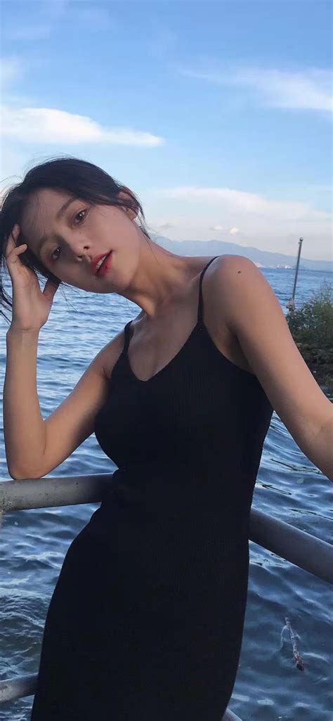 百度蜘蛛池原理圖講解視頻